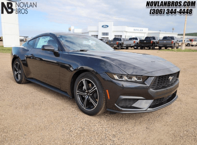 A black 2024 Ford Mustang EcoBoost for sale at the Novlan Bros dealership in Saskatchewan.