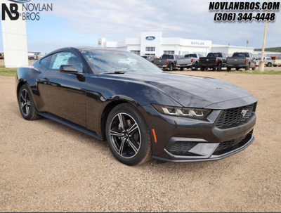 A black 2024 Ford Mustang EcoBoost for sale at the Novlan Bros dealership in Saskatchewan/