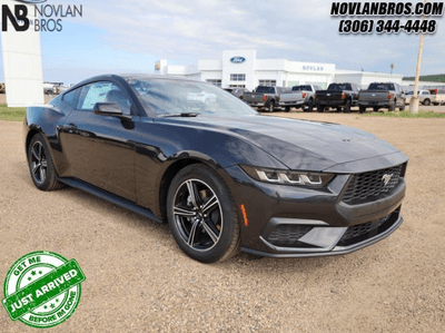 A grey 2024 Ford Mustang EcoBoost for sale at the Novlan Bros dealership in Saskatchewan.