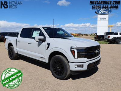 A white 2024 Ford F-150 Platinum for sale at the Novlan Bros dealership in Saskatchewan.