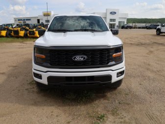 Ford F-150 STX 1FTEW2LP9RKD36448 101099