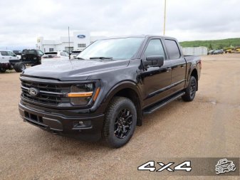 Ford F-150 XLT  - Tow Package 1FTFW3L81RKD85176 100230
