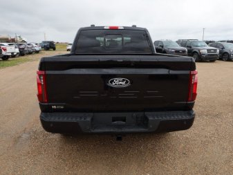 Ford F-150 XLT  - Tow Package 1FTFW3L81RKD85176 100233