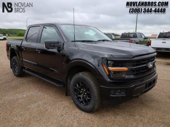 Ford F-150 XLT  - Tow Package 1FTFW3L81RKD85176 100387