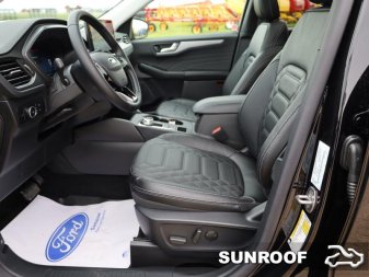 Ford Escape Platinum  - Leather Seats - Sunroof 1FMCU9JA0RUB17768 101148