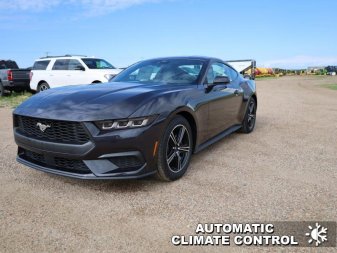 Ford Mustang EcoBoost 1FA6P8TH7R5136931 101504