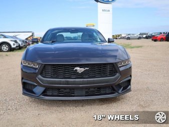 Ford Mustang EcoBoost 1FA6P8TH7R5136931 101506