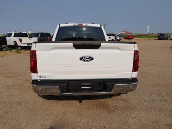 2024 Ford F-150 XL  - XL Series - Fog Lamps - Image 4