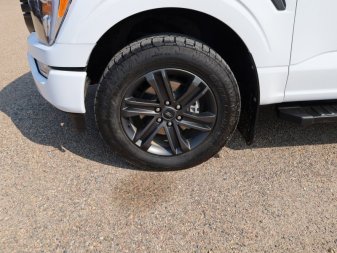 2021 Ford F-150 XLT  - Heated Seats - Alloy Wheels - Image 15