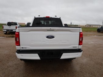 2021 Ford F-150 XLT  - Navigation - Alloy Wheels - Image 4