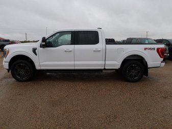 Ford F-150 XLT  - Navigation - Alloy Wheels 1FTFW1E84MFB89882 103446