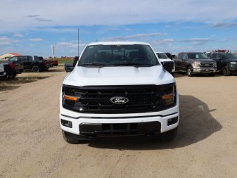 2024 Ford F-150 XLT  - Leather Seats - Premium Audio - Image 3