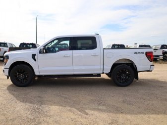 2024 Ford F-150 XLT  - Leather Seats - Premium Audio - Image 5