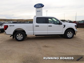 2024 Ford F-150 XL  - XL Series - Fog Lamps - Image 2