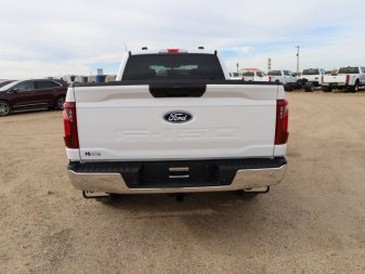 2024 Ford F-150 XL  - XL Series - Fog Lamps - Image 4