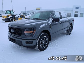 2024 Ford F-150 STX - Image 1