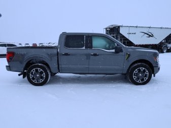 2024 Ford F-150 STX - Image 2