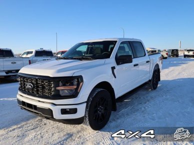 2024 Ford F-150 STX - Image 1