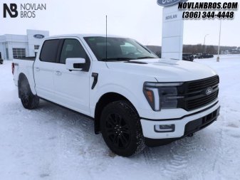 Ford F-150 Platinum 1FTFW7L87SFA02735 107586