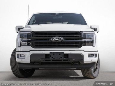 Ford F-150 Platinum 1FTFW7L87SFA02735 114286