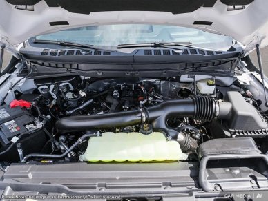 Ford F-150 Platinum 1FTFW7L87SFA02735 114290