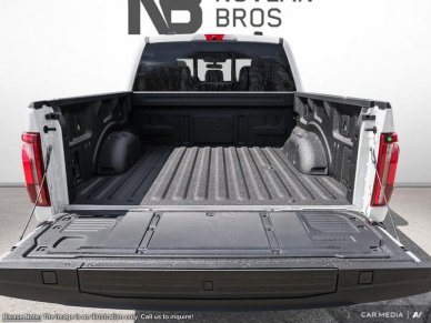 Ford F-150 Platinum 1FTFW7L87SFA02735 114291