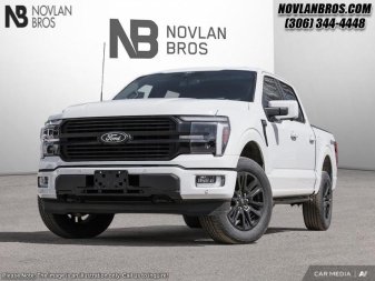 Ford F-150 Platinum 1FTFW7L87SFA02735 115114