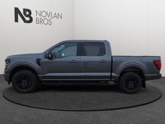 2025 Ford F-150 XLT  - Tailgate Step - Image 1
