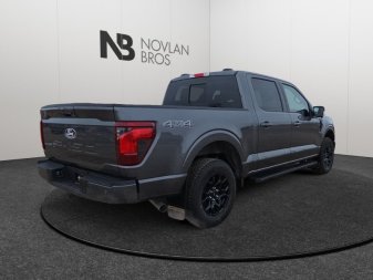 2025 Ford F-150 XLT  - Tailgate Step - Image 4