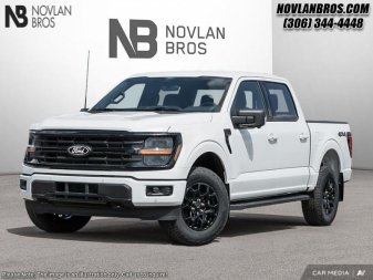 Ford F-150 XLT 1FTEW3LP8SKD39207 118044