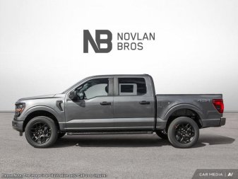 Ford F-150 STX 1FTEW2LP3SKE05978 117175