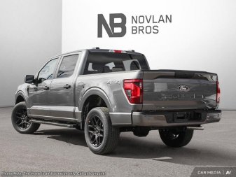 Ford F-150 STX 1FTEW2LP3SKE05978 117176