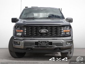 Ford F-150 STX 1FTEW2LP3SKE05978 117432