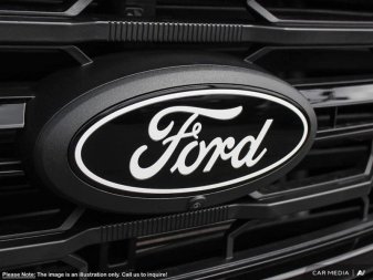 2025 Ford F-150 XLT  - Tow Package - Tailgate Step - Image 8