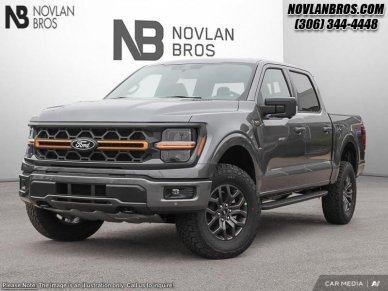 Ford F-150 Tremor  - Tailgate Step 1FTFW4L80SFA86492 118985