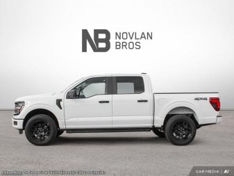 2025 Ford F-150 STX - Image 2