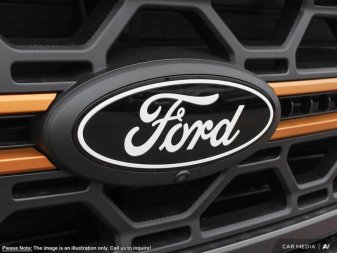 2025 Ford F-150 Tremor  - Tailgate Step - Image 8