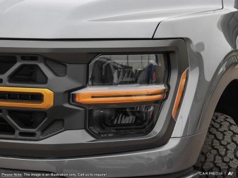 2025 Ford F-150 Tremor  - Tailgate Step - Image 9