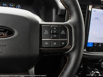 2025 Ford F-150 Tremor  - Tailgate Step - Image 13