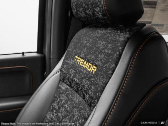 2025 Ford F-150 Tremor  - Tailgate Step - Image 18