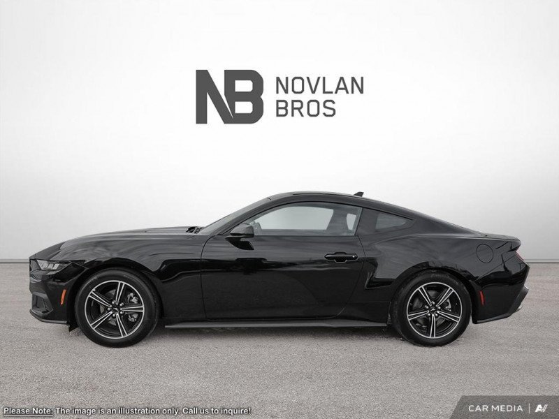 Ford Mustang EcoBoost 1FA6P8TH9S5121000 122951