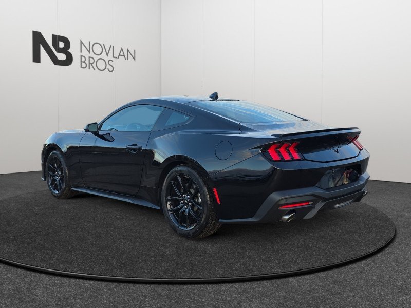 Ford Mustang EcoBoost 1FA6P8TH9S5121000 129908