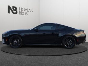 2025 Ford Mustang EcoBoost - Image 2