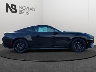 2025 Ford Mustang EcoBoost - Image 6