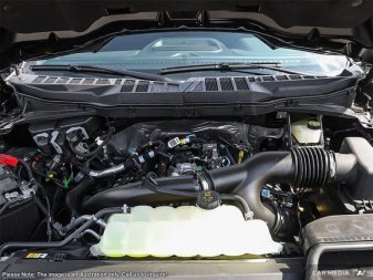 Ford F-150 XLT 1FTEW3LP8SFB13077 120500
