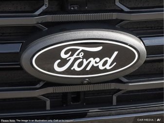 Ford F-150 XLT 1FTEW3LP8SFB13077 120502