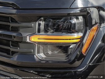Ford F-150 XLT 1FTEW3LP8SFB13077 120503