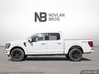 Ford F-150 Platinum 1FTFW7LD3SFB18866 120521