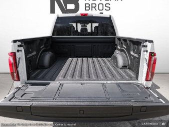 Ford F-150 Platinum 1FTFW7LD3SFB18866 120525