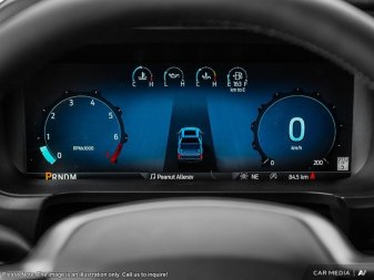 Ford F-150 Platinum 1FTFW7LD3SFB18866 120532